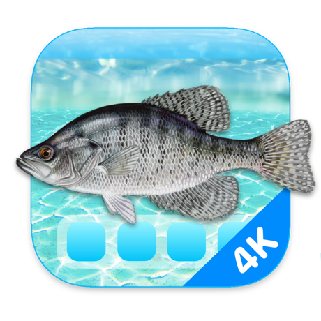 Aquarium 4K - Live Wallpaper